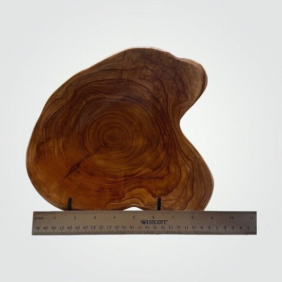 Shan Mu Wood Bowl Natural Live Edge Decorative Bowl Root Carved w Age Rings (M) - Picture 9 of 10